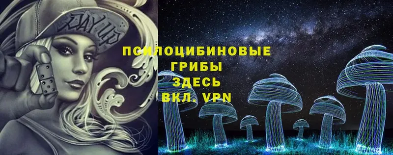 Галлюциногенные грибы Cubensis  mega как войти  Когалым 